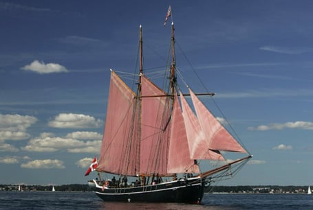 skonnert_455