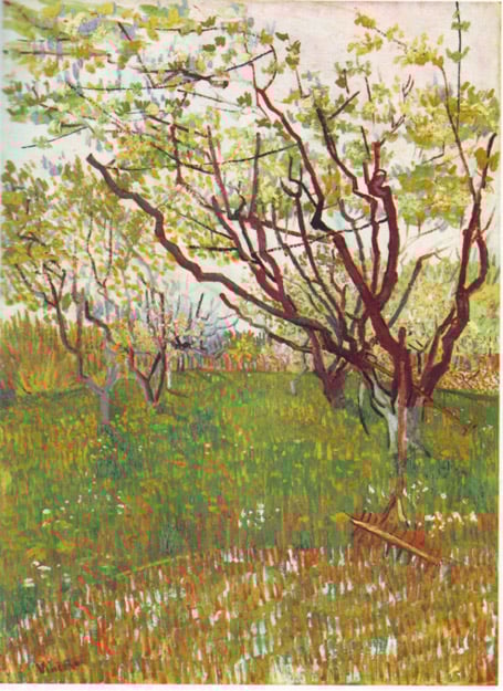 Van-gogh-flowering-orchard-III_455