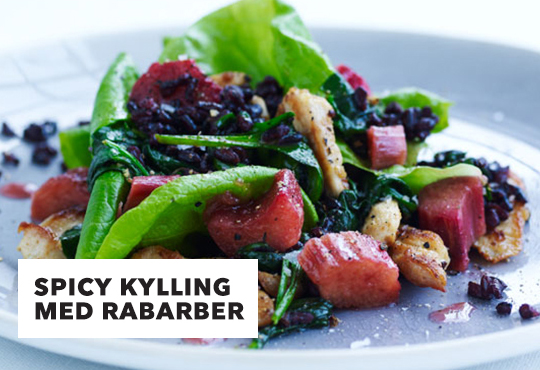 SpicyKylling_uge21 Foto: Sæson