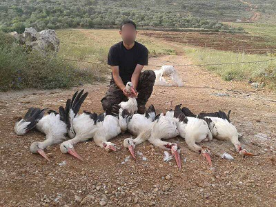 storke-mord-STORKE~1