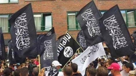 pro isis demo hag470