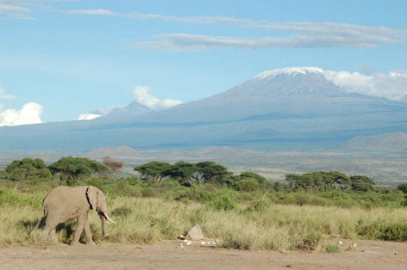 kilimanjaro-575-by-cjasik