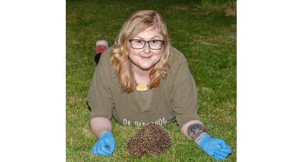 Dr. Pindsvin møder et pindsvin om natten, hvor de normalt er aktive. Pindsvinene kan være svære for bilisterne at se, når de krydser vejen om natten. Statens Naturhistriske Museum, Joan Ostenfeldt ©